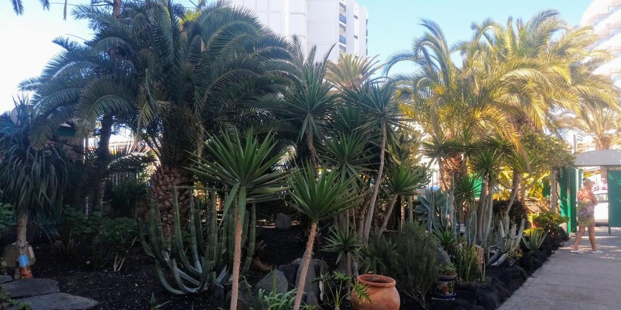 Ferienwohnung Cactus Maspalomas  Exterior foto